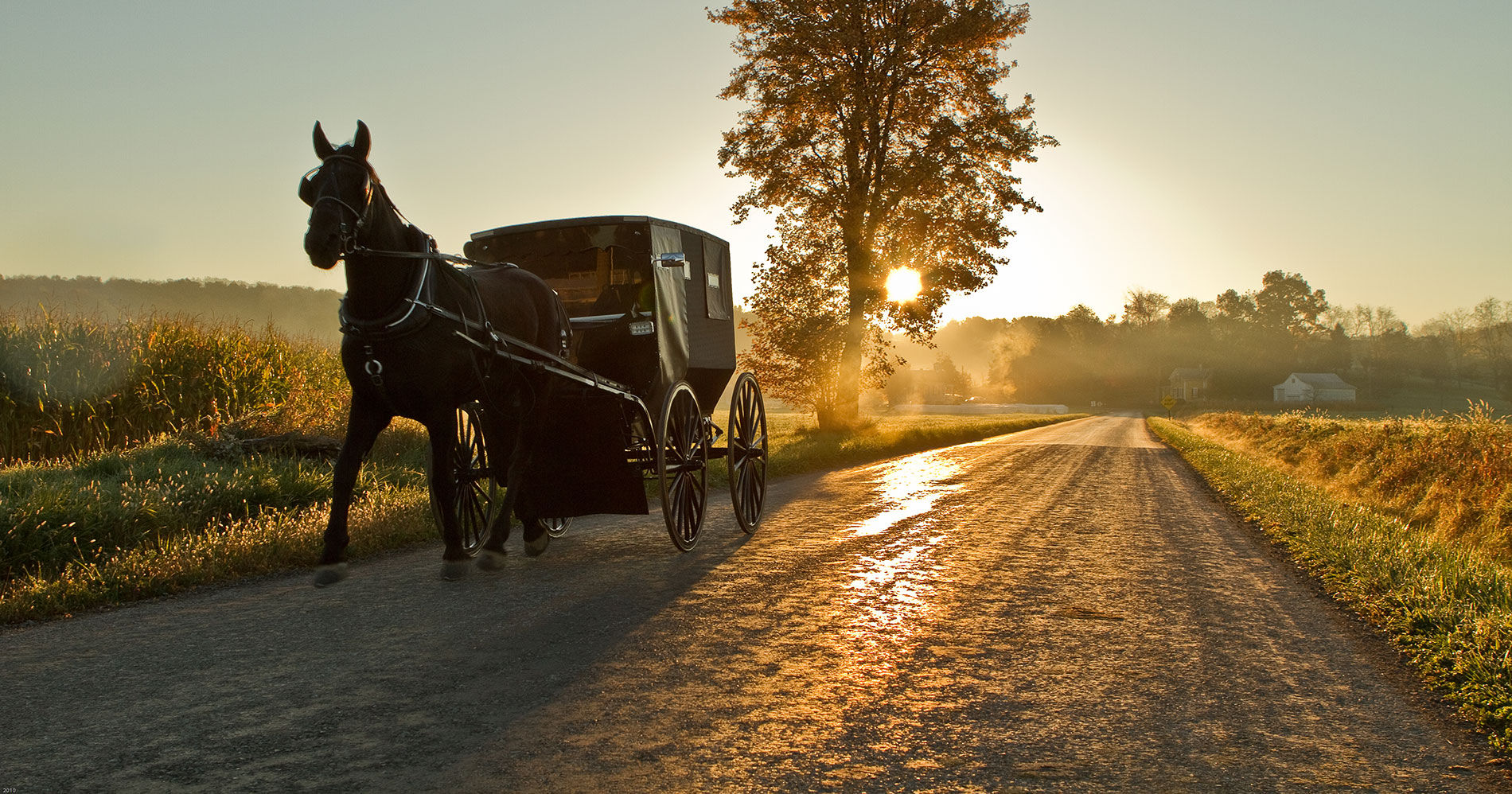 amish image