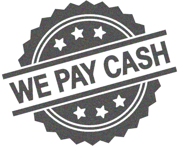we pay cash icon